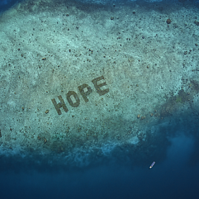 Hope for coral reefs and a more sustainable future