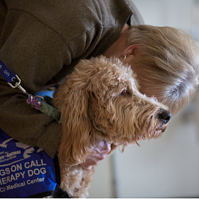 : Dog therapy might help ease loneliness in aging adults