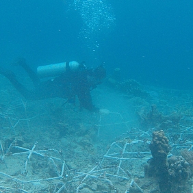 Mars Associates working to rehab a coral reef in Indonesia. 