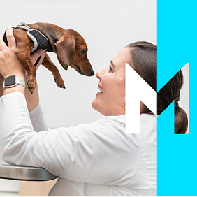 A veterinarian caring for a pet.