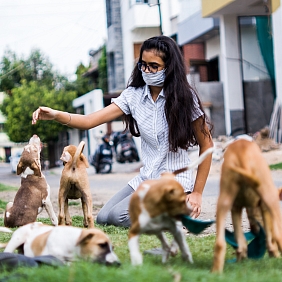 Ending Pet Homelessness