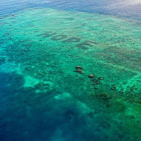 Mars announces The Big Build coral reef restoration event 