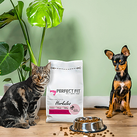 Mars Petcare My Perfect Fit