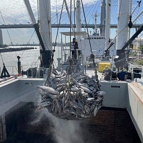 International Vessel Thailand