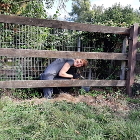 Mars_Petcare_MVP_Bremer_Tierheim_2