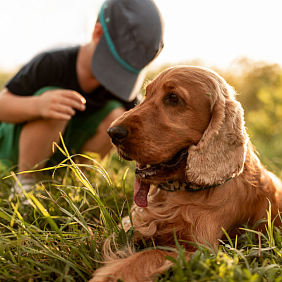 A child and a dog sitting in a field