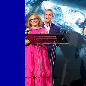 Presenter Amy Sedaris and host Andy Cohen present the HSUS Corporate Consciousness Award to Nefertiti Greene, President of Science & Diagnostics at Mars Petcare, accepting on behalf of Mars.