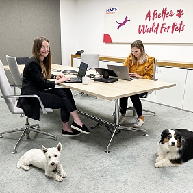 Mars_Petcare_Kollege_Hund_Higgins Flora