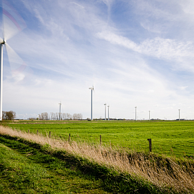 Windmills in a field against a blue sky with clouds