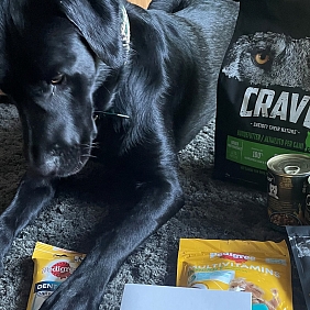 Mars_Petcare abetterworldforpets_2