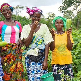Women cocoa farmers