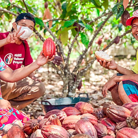 Cocoa farmers in Indonesia