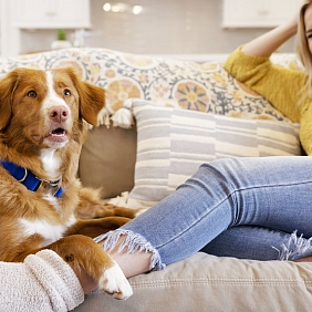 Mars Światowy Dzień Zwierząt