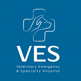 Veterinary Emergency & Specialty (VES) Hospital Singapore
