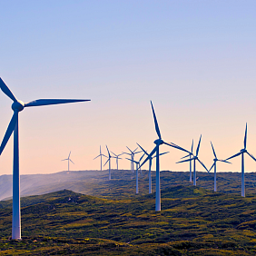 Windfarm Petcare page