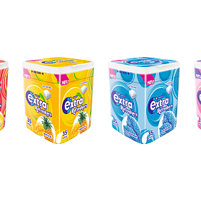 Collage Dosen EXTRA Refreshers