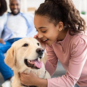 Young girl playing with a golden retriever while her parents smile in the background