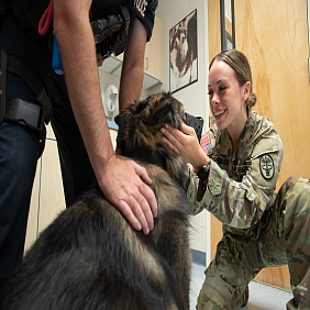 Military lady petting dog