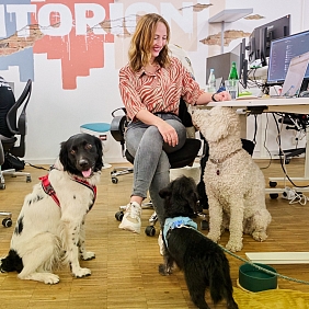 Mars_Petcare_PM_Kollege_Hund_Kollegin Hund_Buero