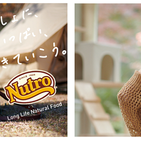 Mars Wish_campaign_HERO