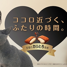 Mars Sheba_cp_HERO_20240531