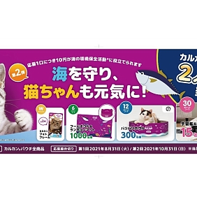 カルカンキャンペーン Toppage