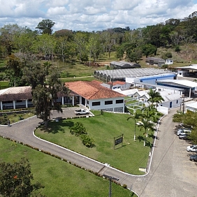 ciência cacau