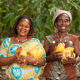 cocoa farmers