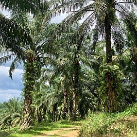 transparantie de toeleveringsketen essentieel