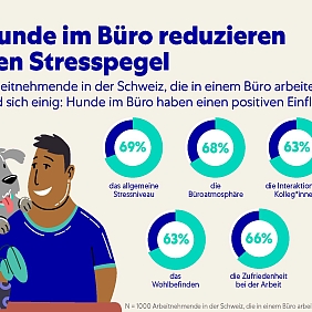 Hunde in Schweizer Büros