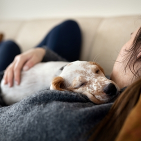 Paws over partners: people prefer to spend time with pets when stressed