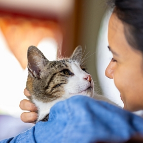 Woman holding her pet cat