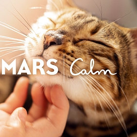 Calm & Mars