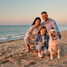 Gorące lato, wakacje i czworonożni przyjaciele – jak dbać o psa podczas upałów?