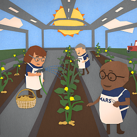 Protect the Peanut Plan Greenhouse Still