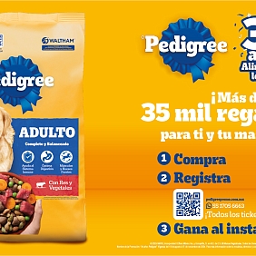 PEDIGREE MEXICO KV 35 años