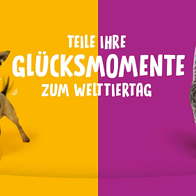 Tieradoption Welttiertag.ch