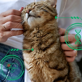 Pet owner with cat