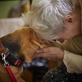 seniorka przytulająca psa podczas zajęć dogoterapii organizowanych przez Mars Polska i Fundację Dr Clown