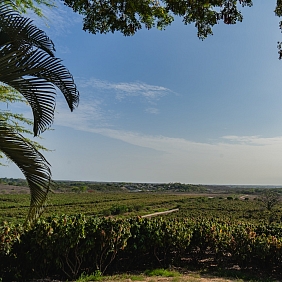 Mars La Chola cocoa farm in Ecuador