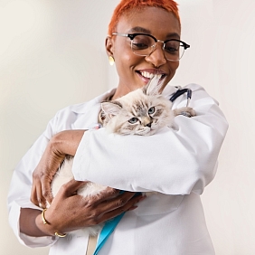 Vet holding a kitten