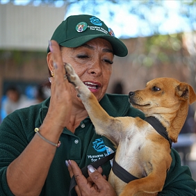 Woman holding a dog and touching her hand to the dog's paw