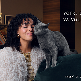 Sheba, votre chat va vous adorer