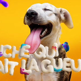 8/10 chiens ont une bouche qui fait la gueule