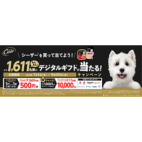 Cesar-CP Hero-20260630