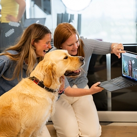 Zwei Frauen und ein Hund betachten einen Video-Chat im Laptop