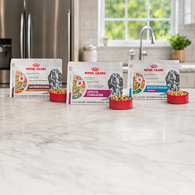 Royal Canin® Launches Its First Fresh Therapeutic Diet Portfolio Available Exclusively Through Veterinarians