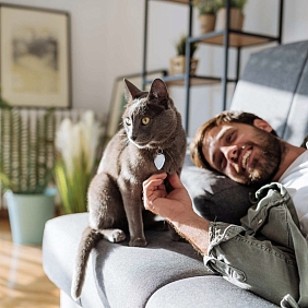 Picture of a young man who caresses a cat while lying on the sofa