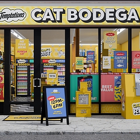 The Temptations Cat Bodega in New York City,in New York City, a playful pop-up celebrating shop cats everywhere.