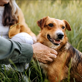Two people and a dog sitting in a field.